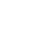 Cars and Vans